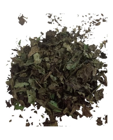 Φύλλα καρυδιάς (100gr)