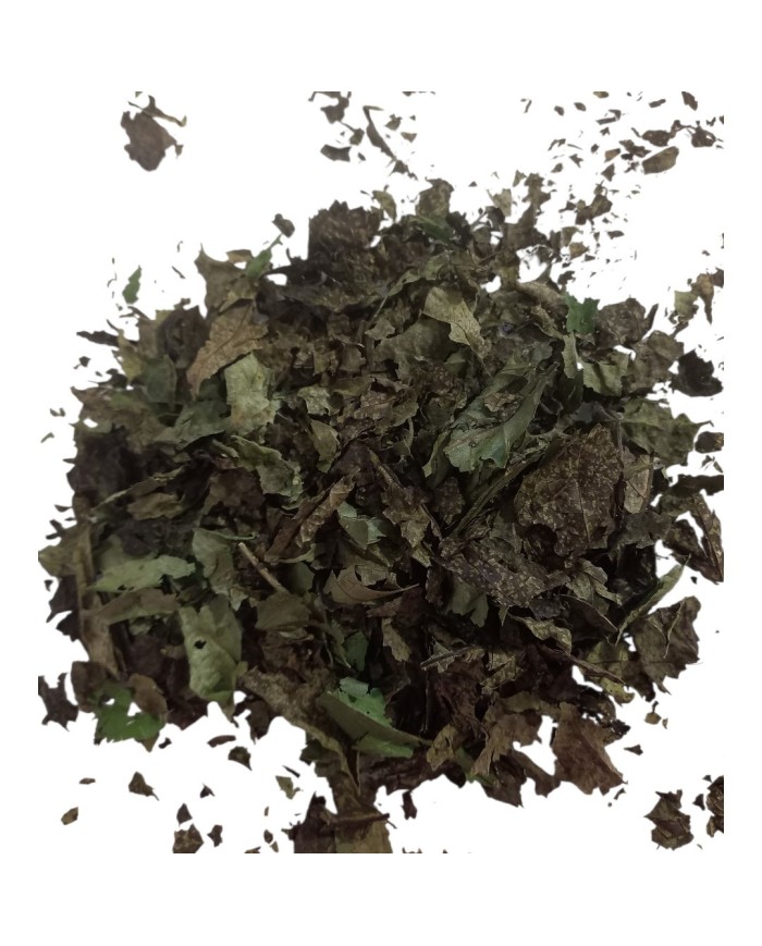 Φύλλα καρυδιάς (100gr)