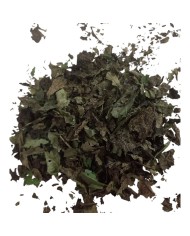 Φύλλα καρυδιάς (100gr)