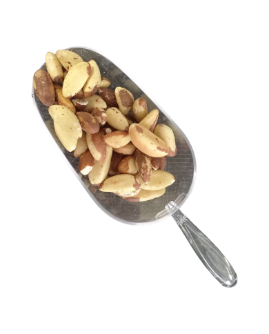 Καρύδια Βραζιλίας Καρύδια Βραζιλίας