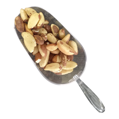 Καρύδια Βραζιλίας