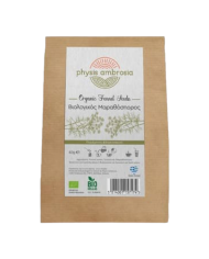 Βιολογική μέντα 30gr