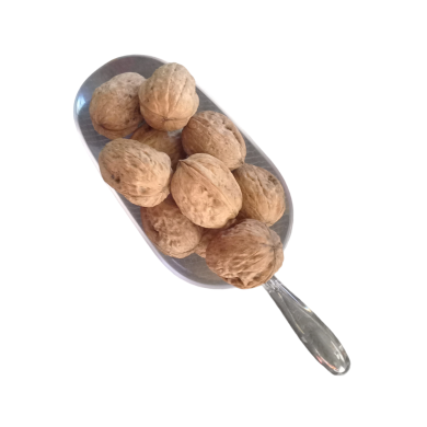 Καρύδια δικής μας παραγωγής. Νέα σοδειά κέλυφος (2025)