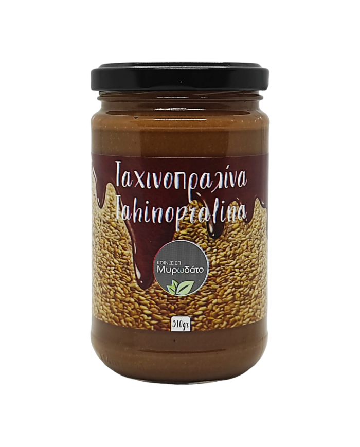 Ταχινοπραλίνα  (310gr)